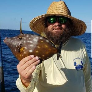 Meet your Posher, Dustin